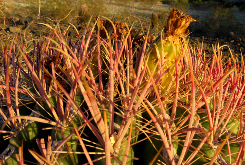 Some of my nature photography