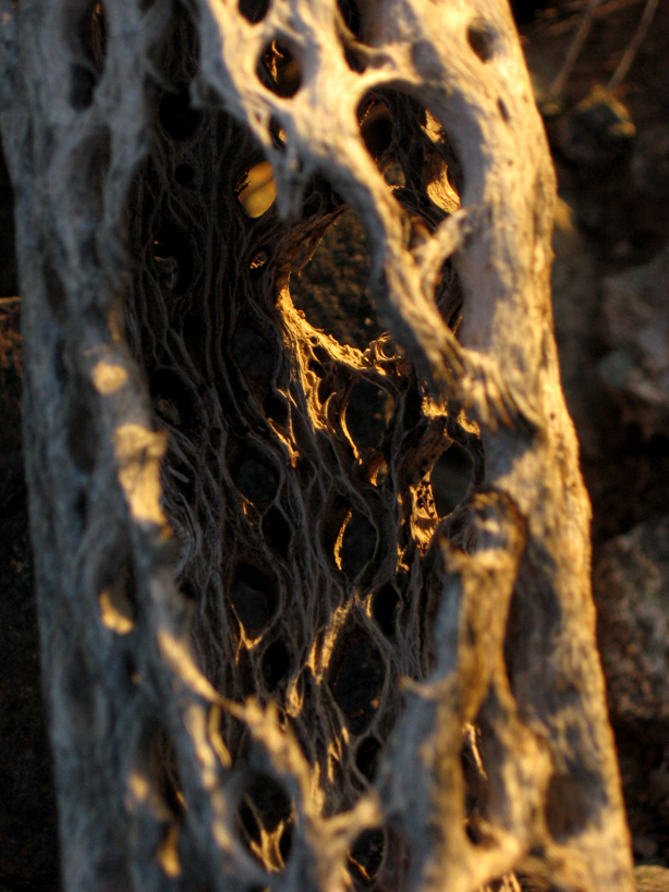 Some of my nature photography