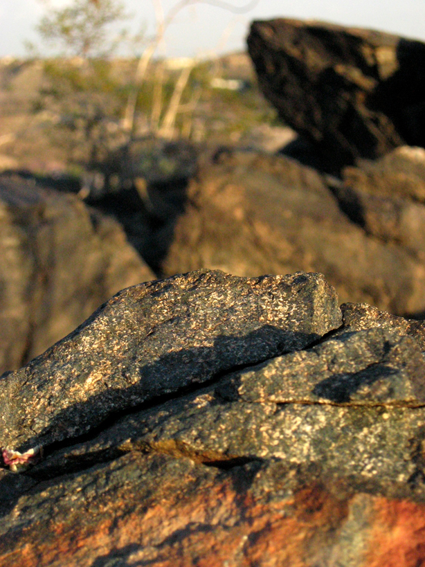 Some of my nature photography