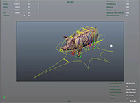 Pig Rig Test
