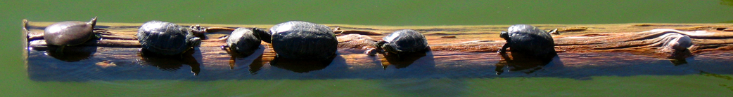 Some of my nature photography